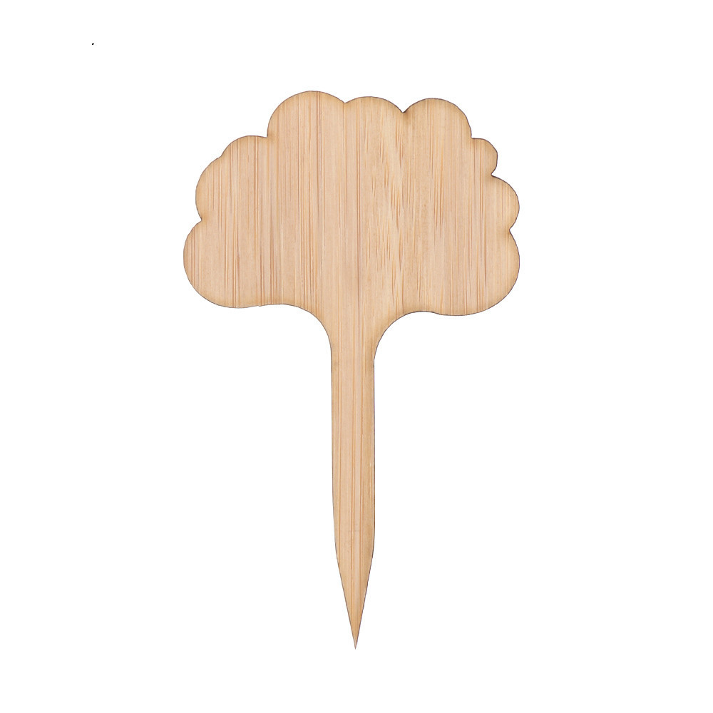 Reusable Wooden Plant Labels for Garden