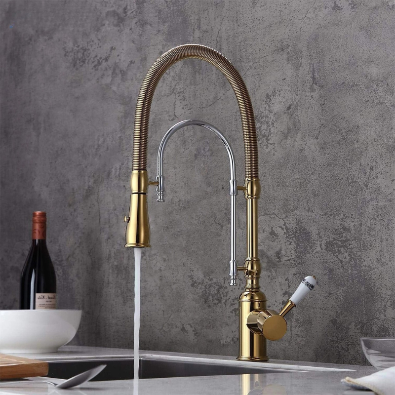 Gold & Chrome Kitchen Faucet with Sprayer