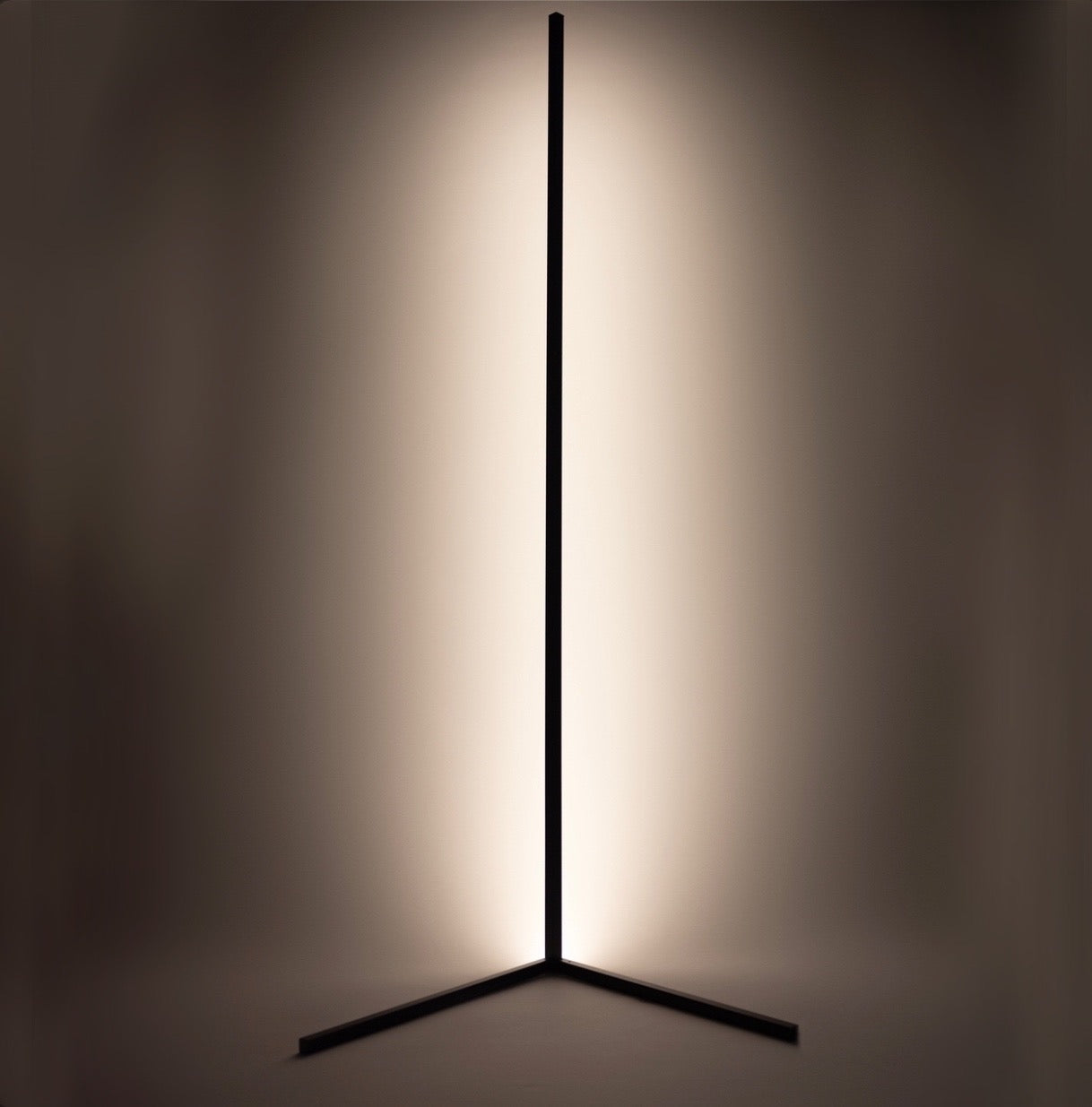 Elegant Corner Floor Lamp with LED