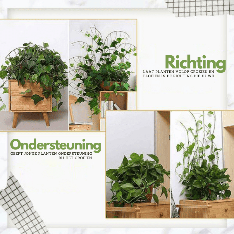 GREENSCAPE – Innovative Plant Support Clips for Climbing Plants