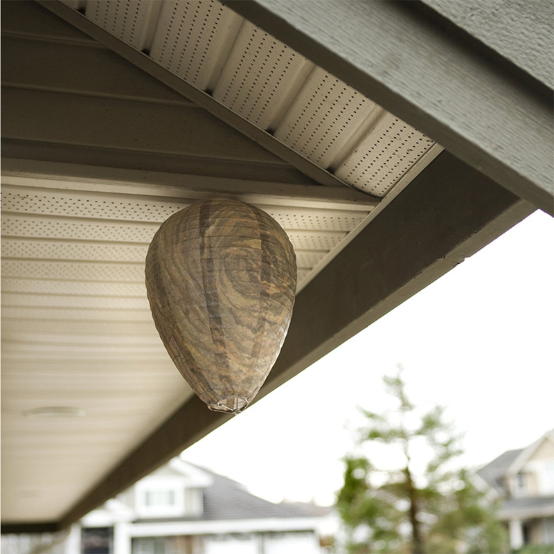 Eco-Friendly Wasp Defense Hanging Lamp