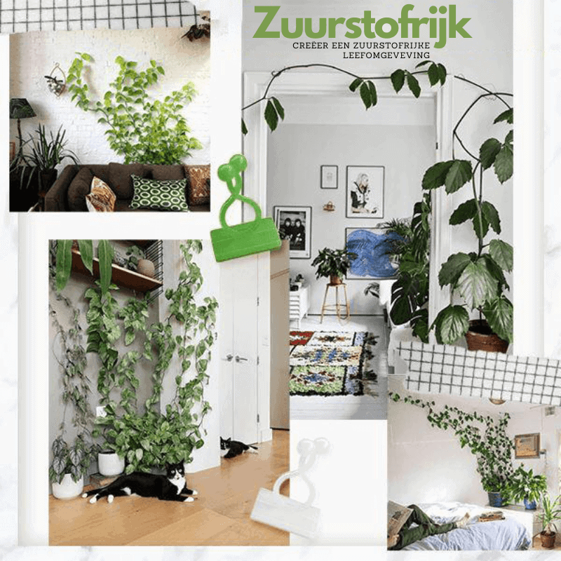 GREENSCAPE – Innovative Plant Support Clips for Climbing Plants