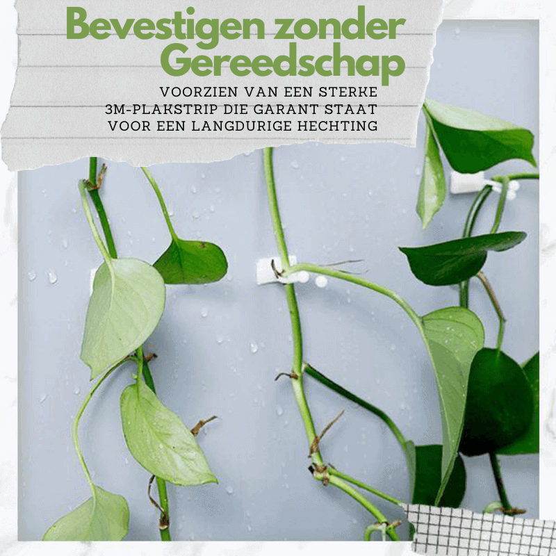GREENSCAPE – Innovative Plant Support Clips for Climbing Plants
