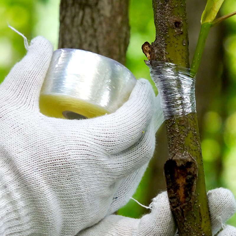 Self-Adhesive Grafting Tape for Plants