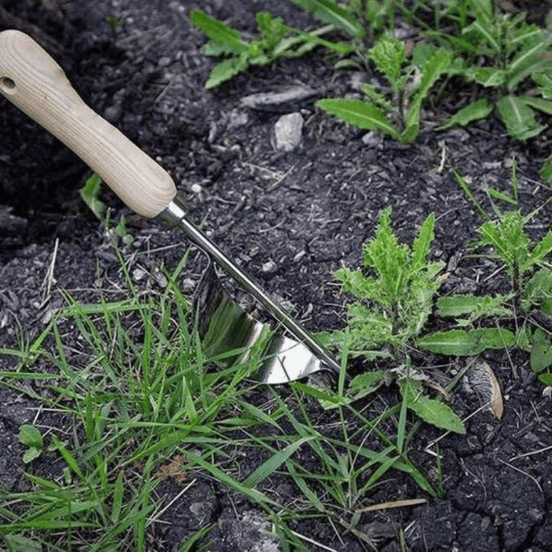 Effortless Weed Removal Tool