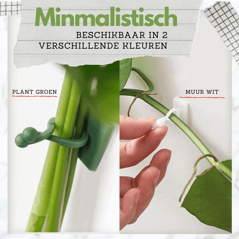 GREENSCAPE – Innovative Plant Support Clips for Climbing Plants