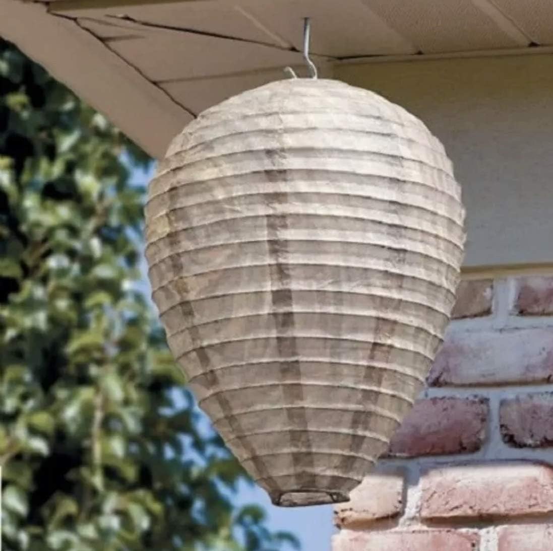 Eco-Friendly Wasp Defense Hanging Lamp