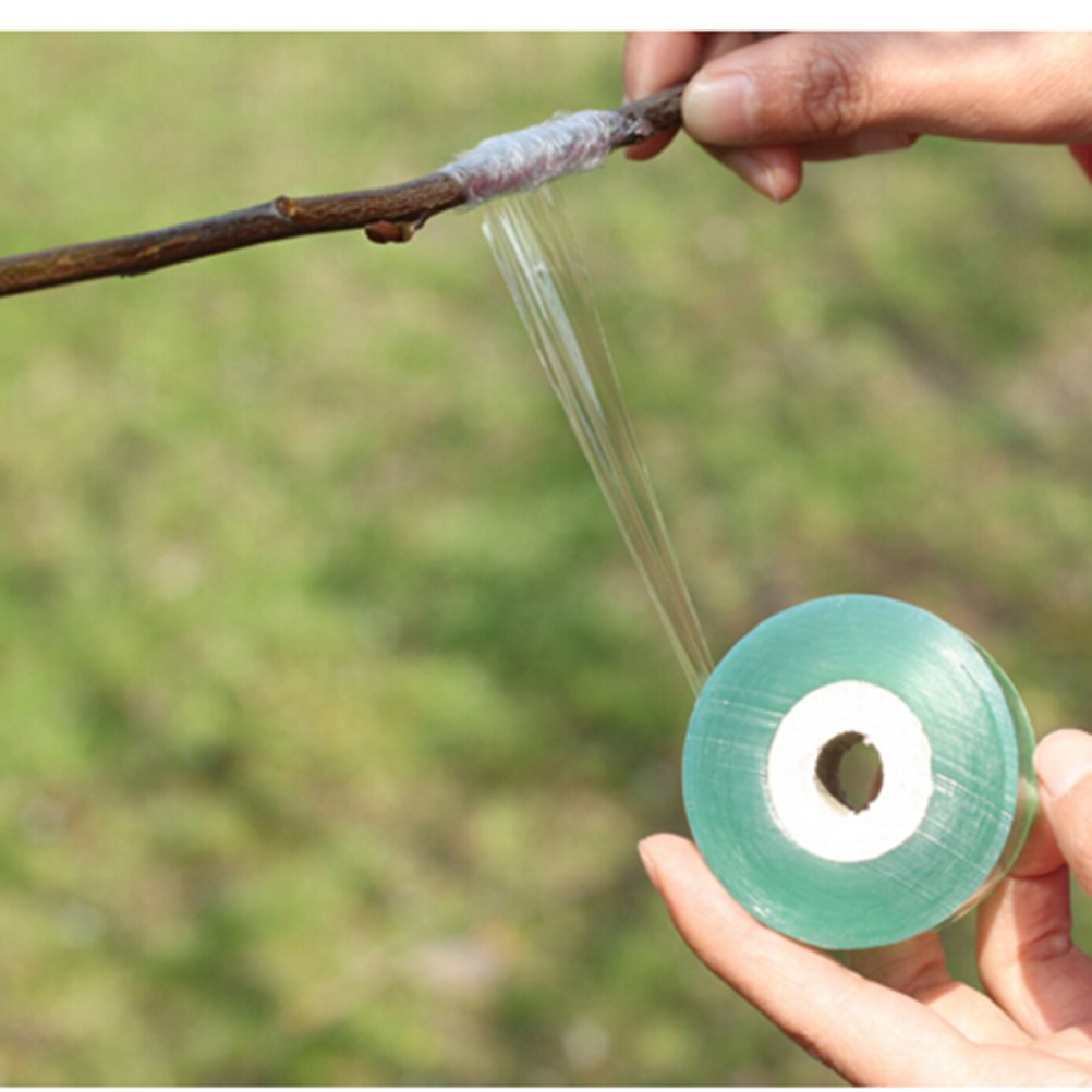 Self-Adhesive Grafting Tape for Plants