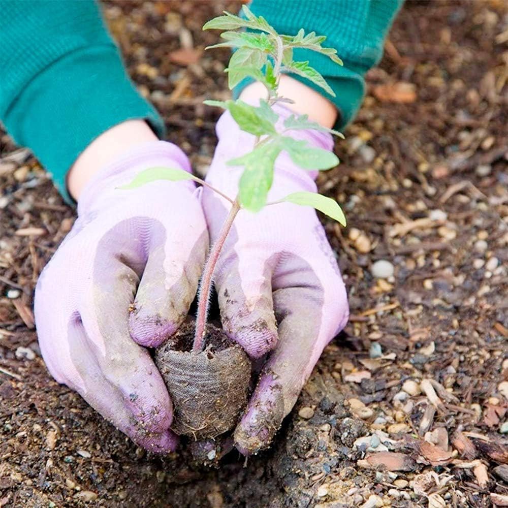 Eco-Friendly Coconut Fiber Seedling Pellets