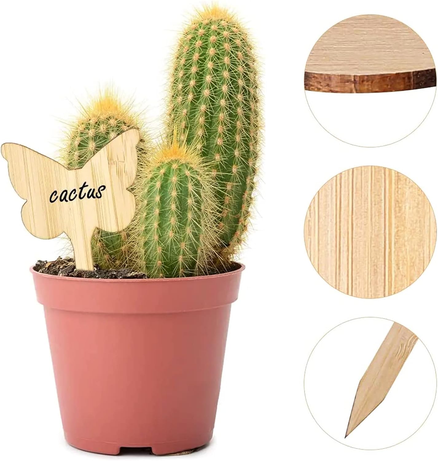 Reusable Wooden Plant Labels for Garden