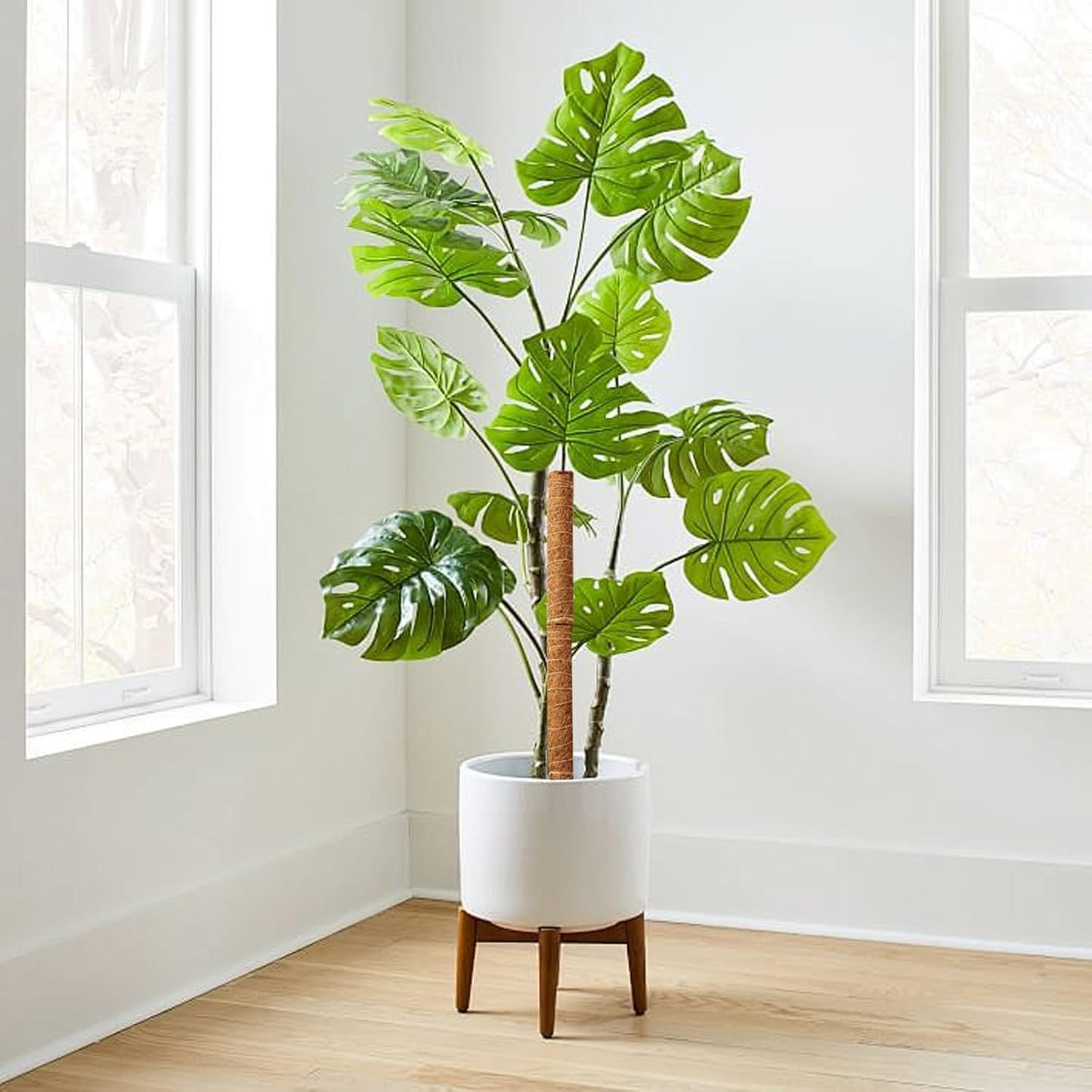 Eco-Friendly Coconut Moss Stick Support