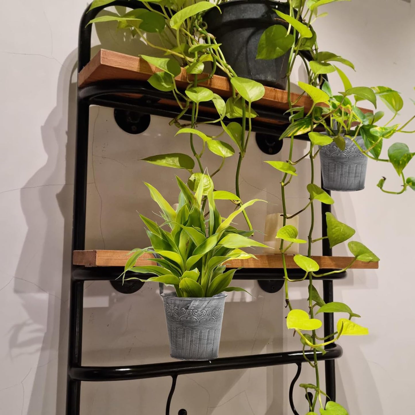 Vintage Hanging Metal Planter for Stylish Displays