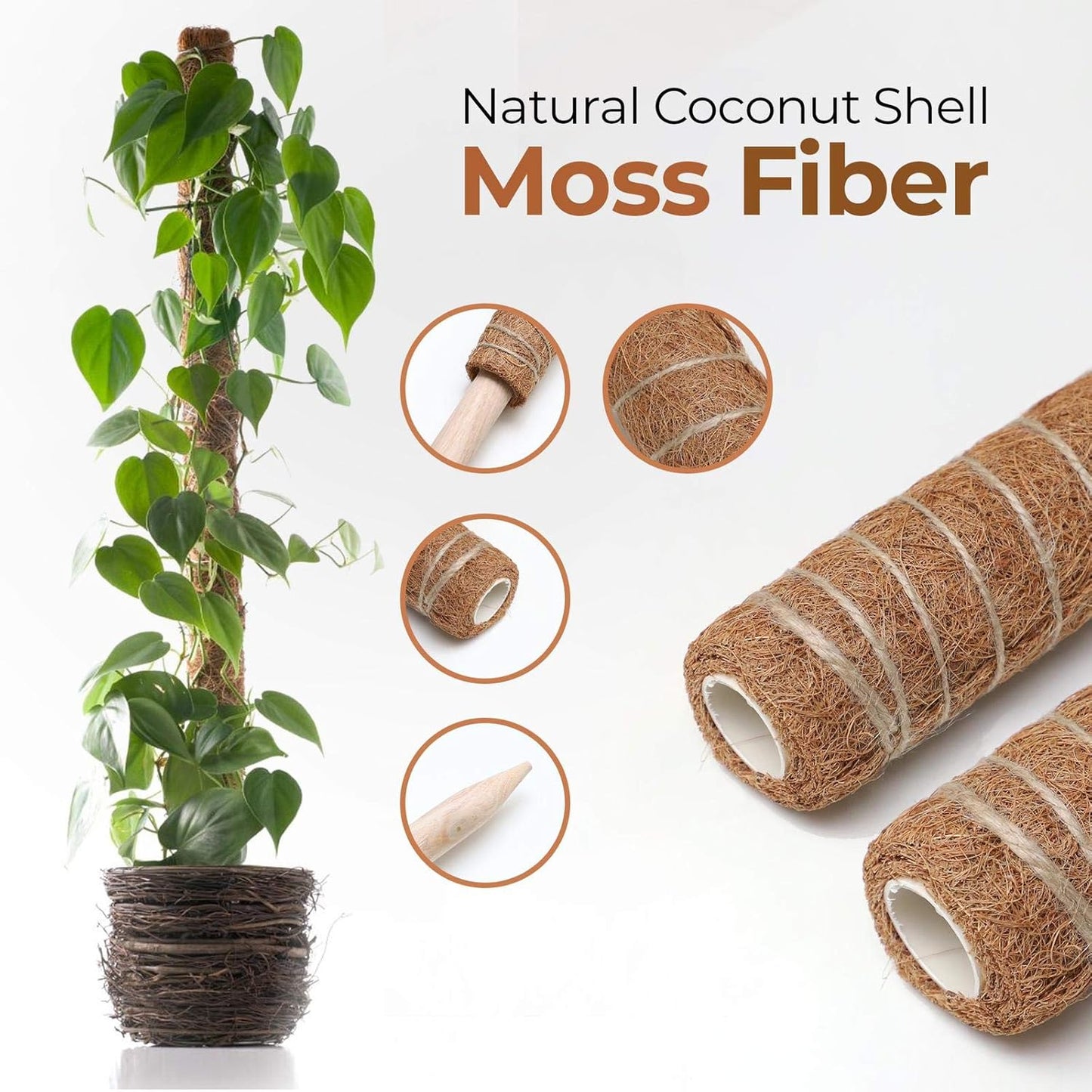 Eco-Friendly Coconut Moss Stick Support