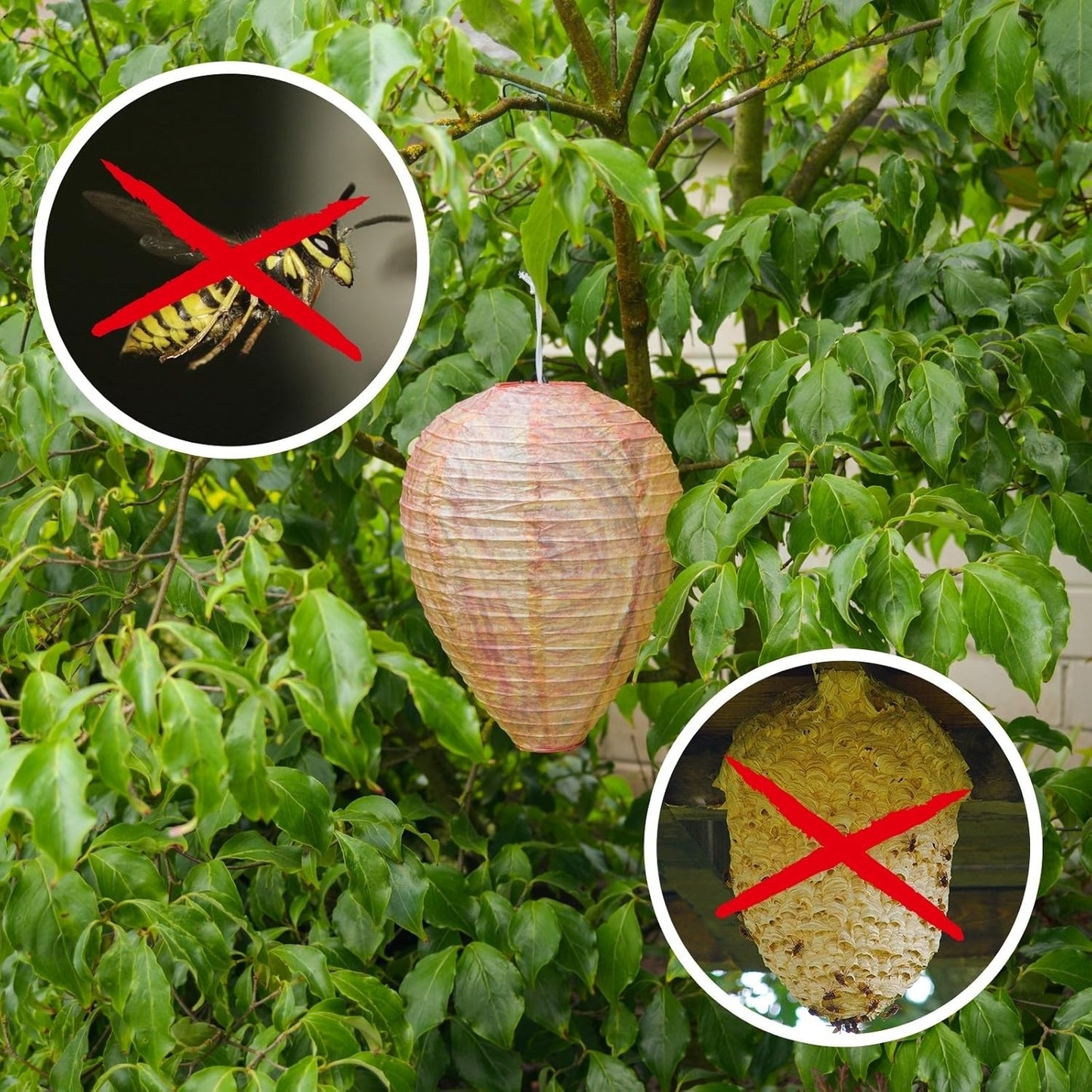 Eco-Friendly Wasp Defense Hanging Lamp