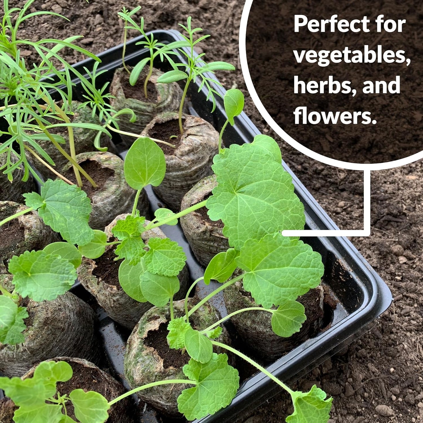 Eco-Friendly Coconut Fiber Seedling Pellets