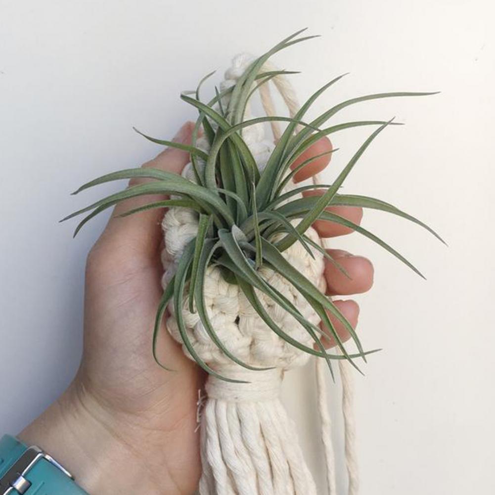 Handcrafted Boho Macramé Plant Hanger