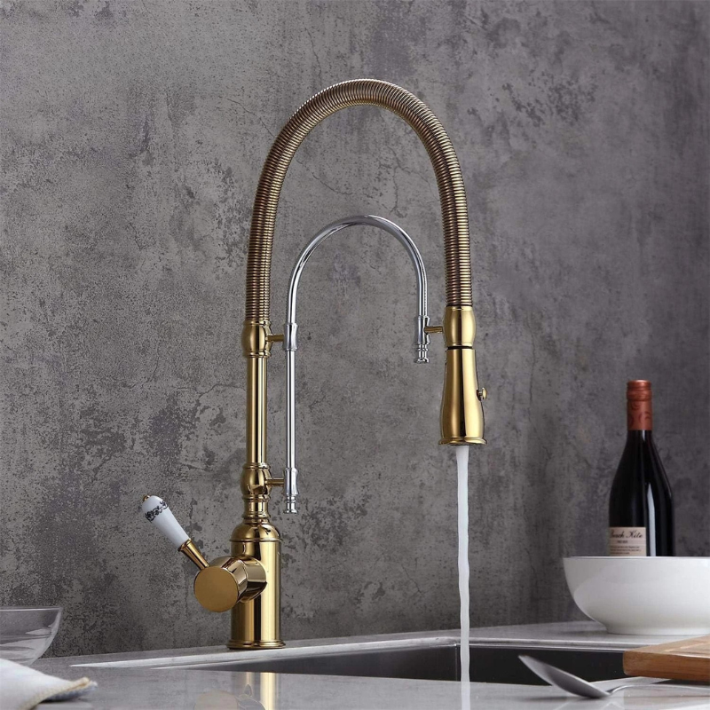 Gold & Chrome Kitchen Faucet with Sprayer