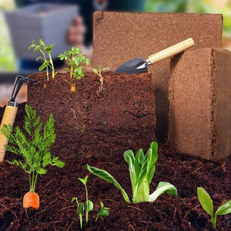 Premium Fertilized Coconut Soil for Thriving Plants