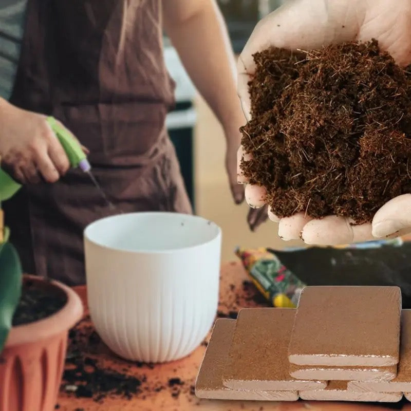 Premium Fertilized Coconut Soil for Thriving Plants