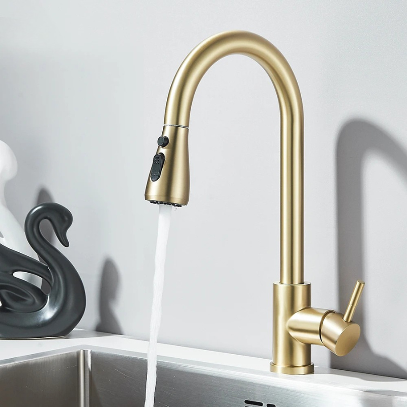 Pull-Out Kitchen Faucet with Sprayer & Dual Modes