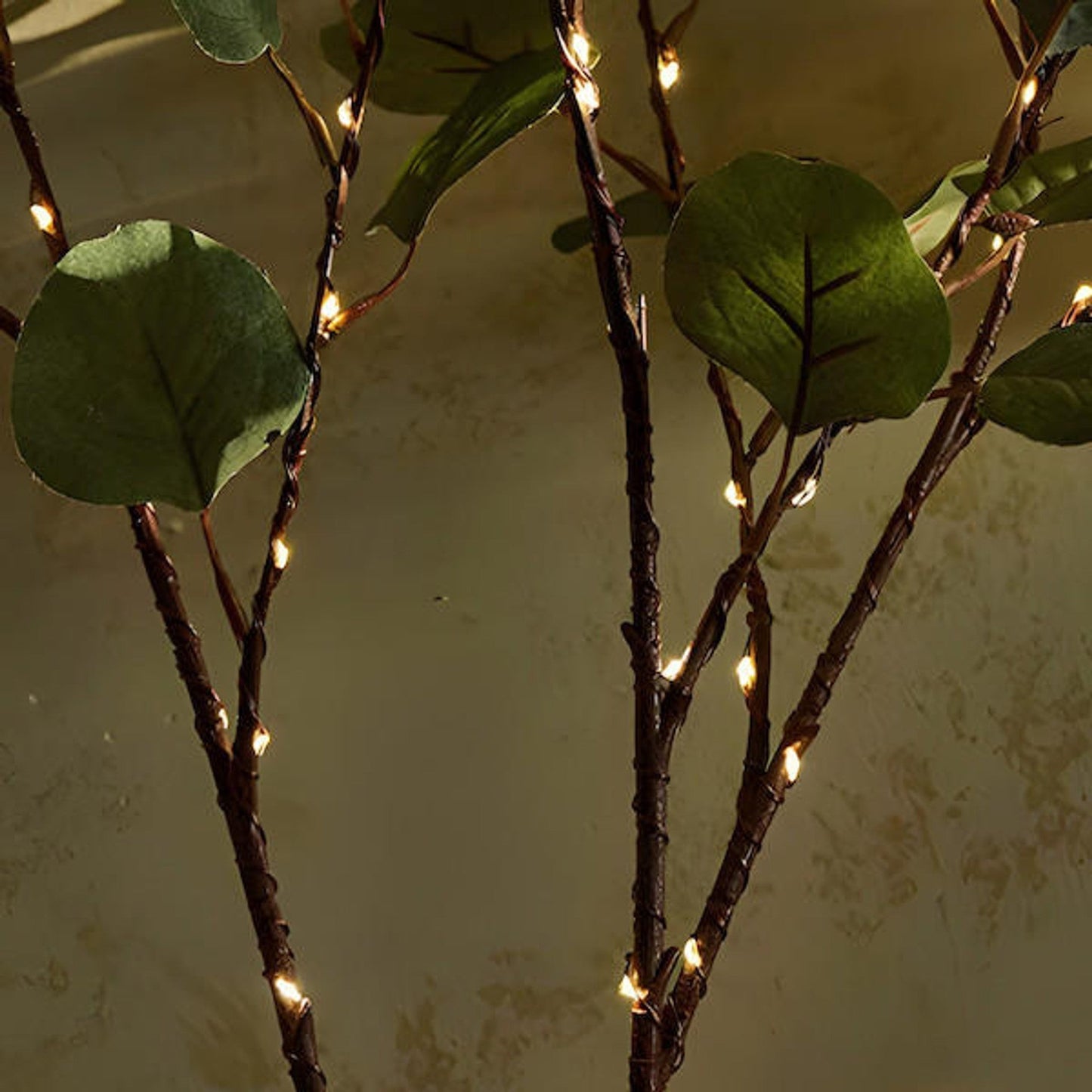 LUMINAIRE – Enchanting LED Olive Branch Decor