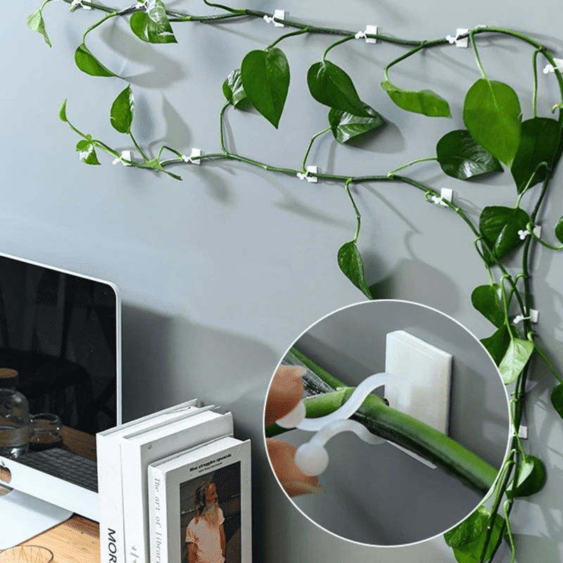 GREENSCAPE – Innovative Plant Support Clips for Climbing Plants