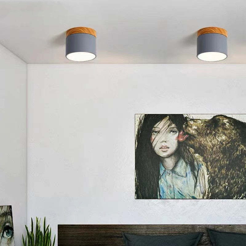 LUMINAIRE – Elegant Morandi LED Ceiling Light