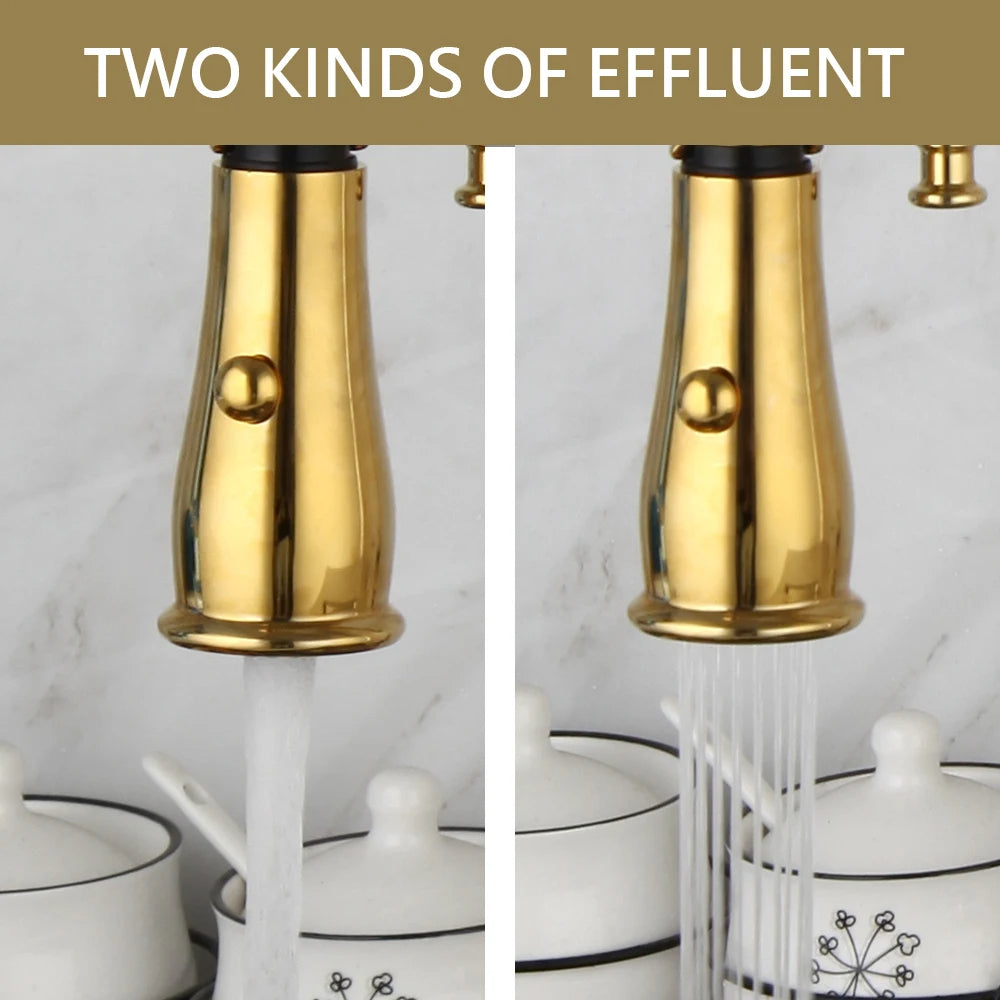 Gold & Chrome Kitchen Faucet with Sprayer