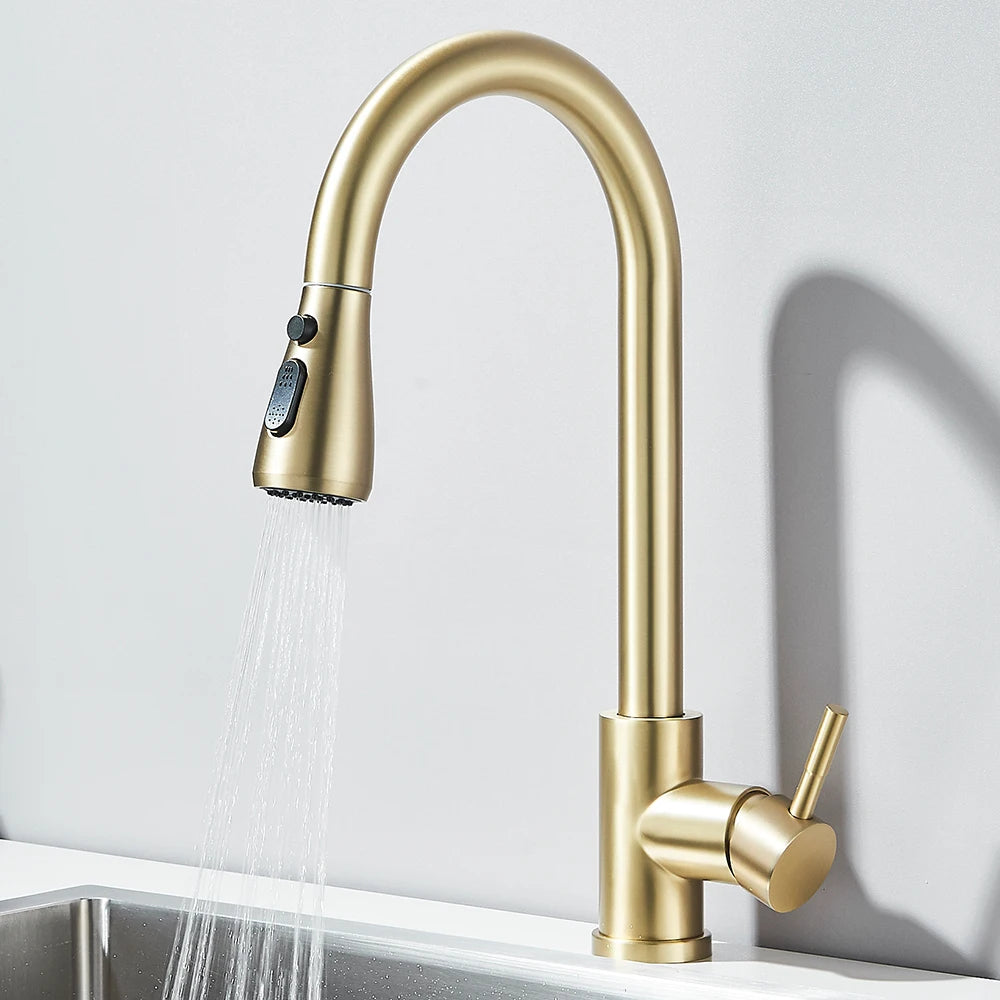 Pull-Out Kitchen Faucet with Sprayer & Dual Modes