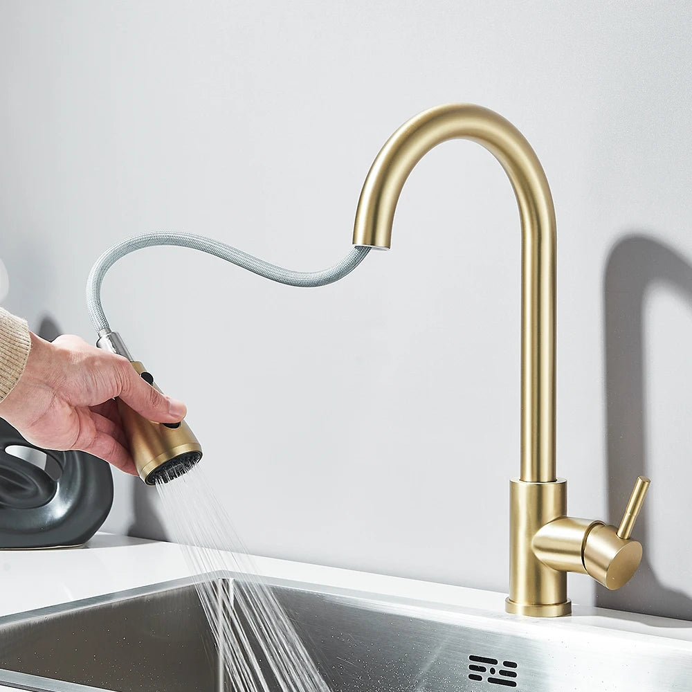 Pull-Out Kitchen Faucet with Sprayer & Dual Modes