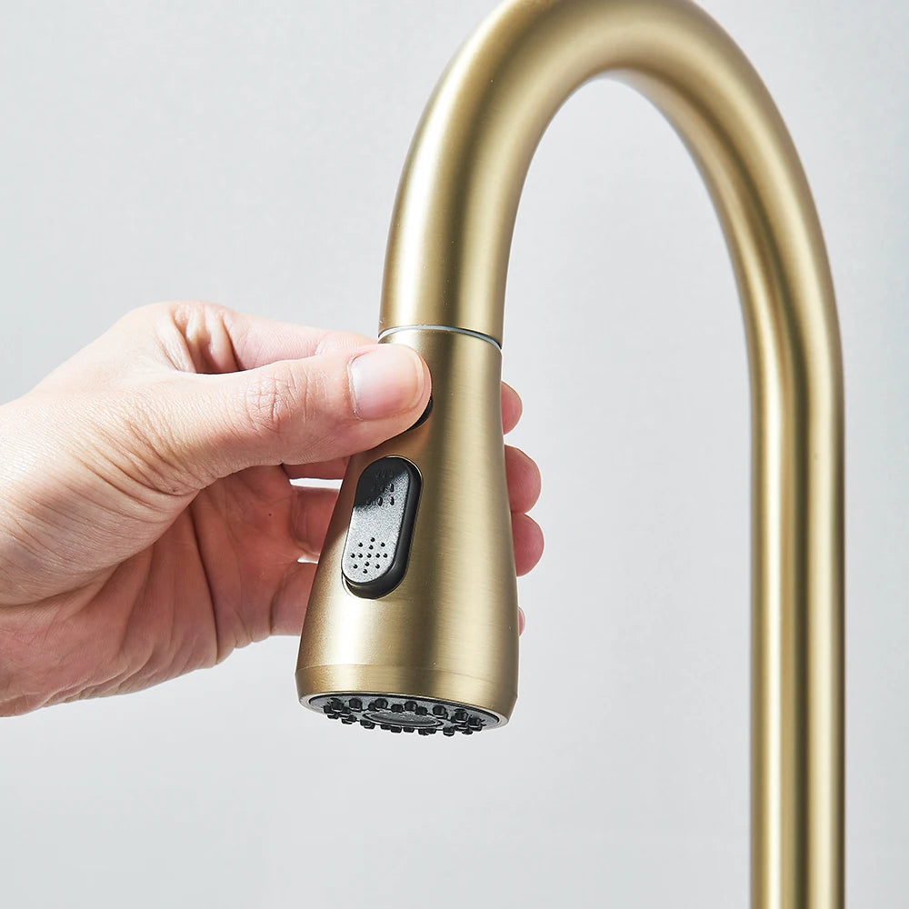 Pull-Out Kitchen Faucet with Sprayer & Dual Modes