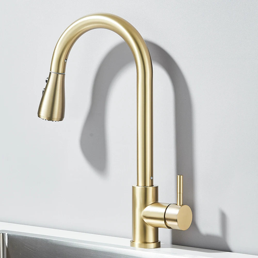 Pull-Out Kitchen Faucet with Sprayer & Dual Modes