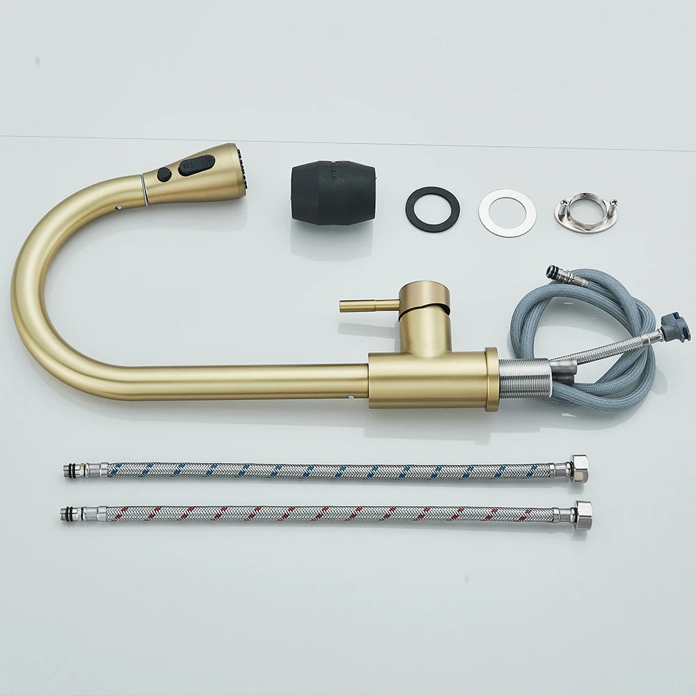 Pull-Out Kitchen Faucet with Sprayer & Dual Modes