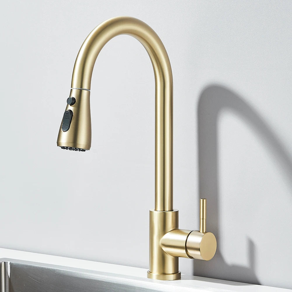 Pull-Out Kitchen Faucet with Sprayer & Dual Modes