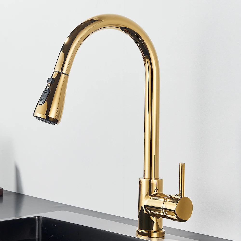 Pull-Out Kitchen Faucet with Sprayer & Dual Modes