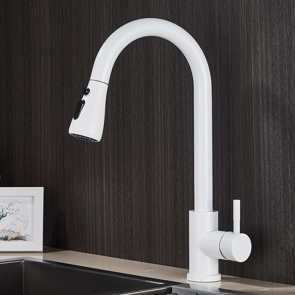 Pull-Out Kitchen Faucet with Sprayer & Dual Modes