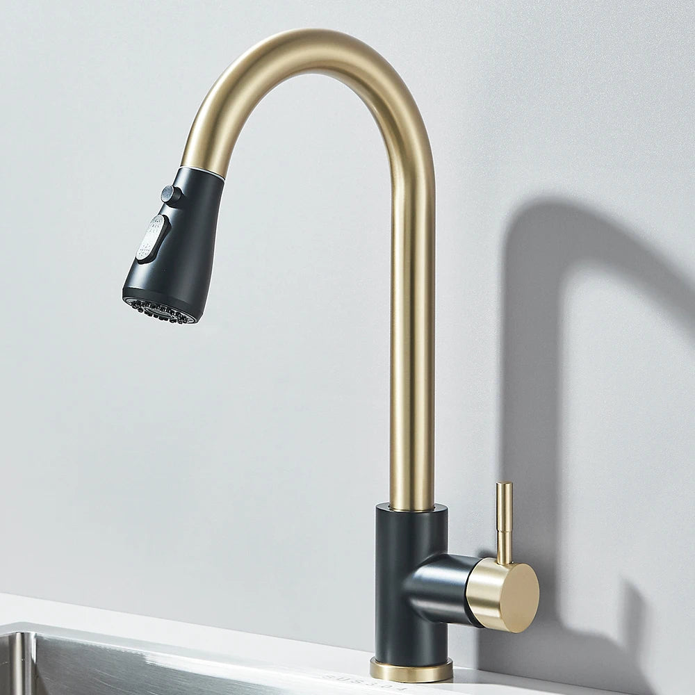 Pull-Out Kitchen Faucet with Sprayer & Dual Modes
