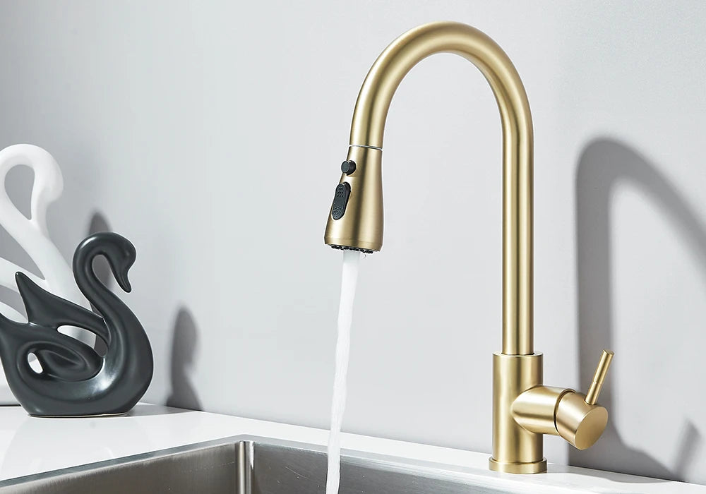 Pull-Out Kitchen Faucet with Sprayer & Dual Modes