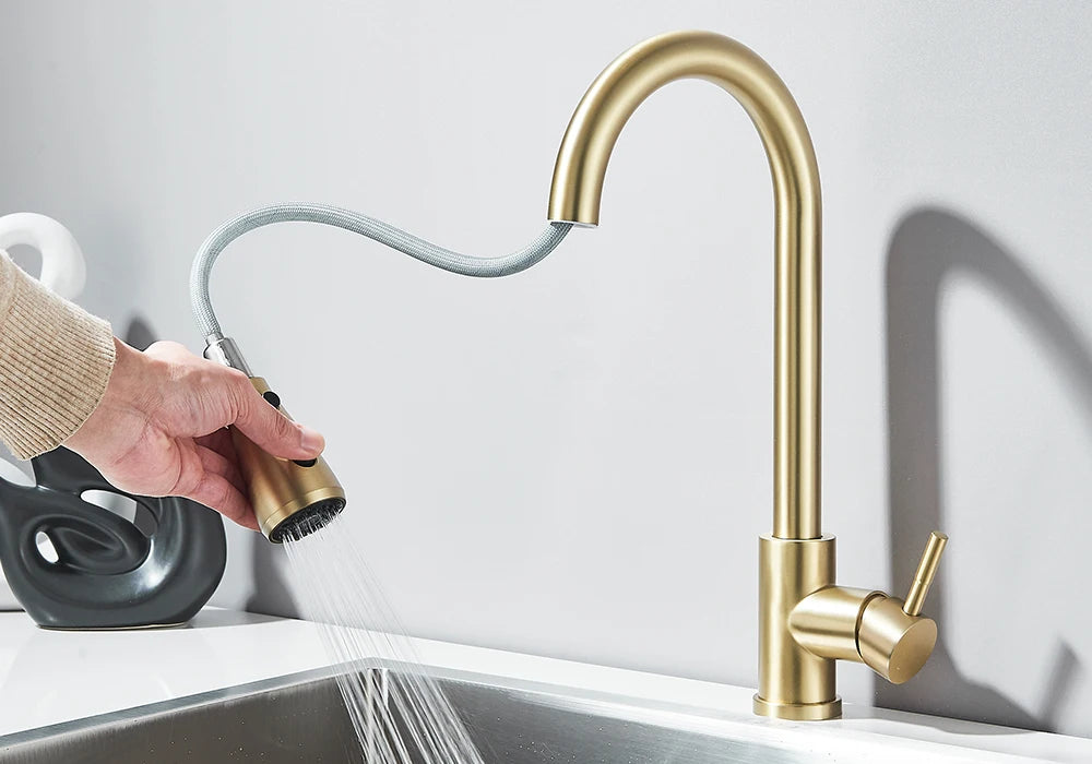 Pull-Out Kitchen Faucet with Sprayer & Dual Modes
