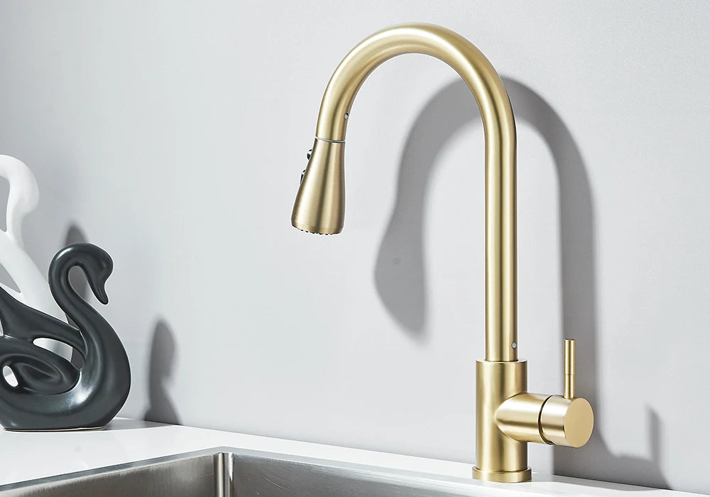 Pull-Out Kitchen Faucet with Sprayer & Dual Modes