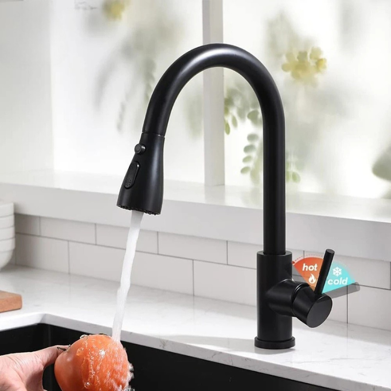 Black Pull-Out Kitchen Sink Faucet with Sprayer