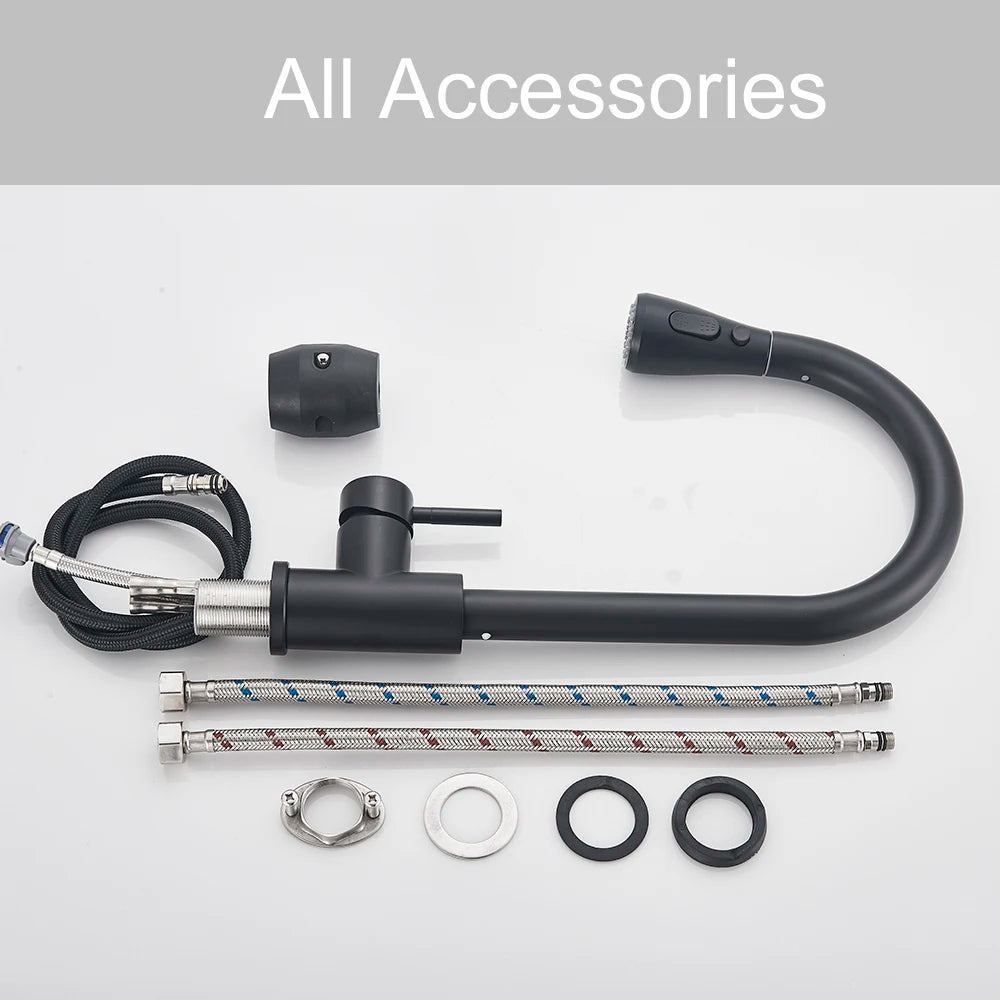 Black Pull-Out Kitchen Sink Faucet with Sprayer